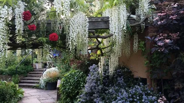 Culpeper Community Garden
